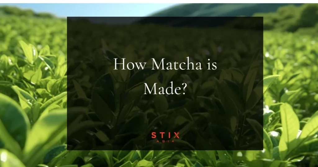 How matcha is made