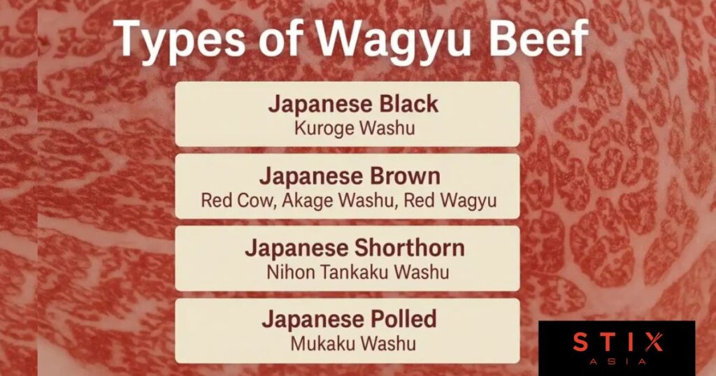 Types of wagyu beef